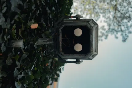 וינמאסטרס קזינו אפליקציה לנייד